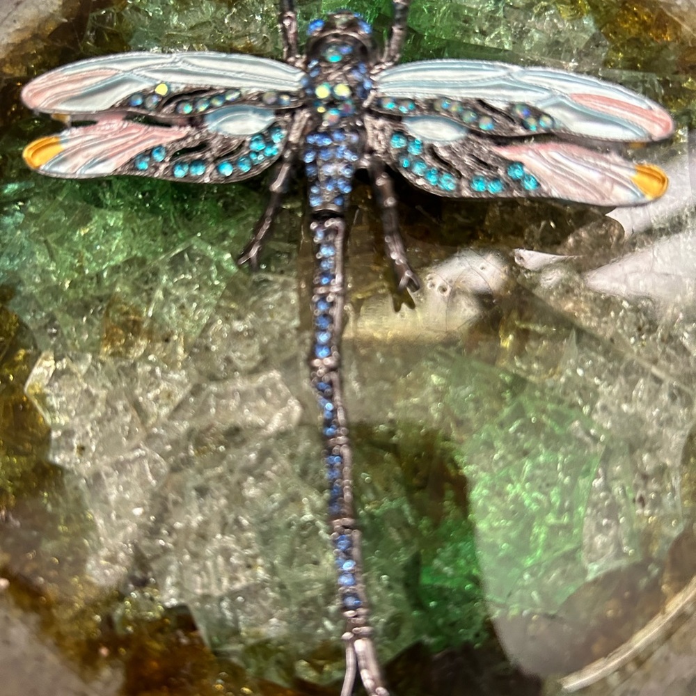Colorful Dragonfly Brooch & pendant